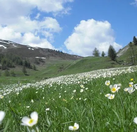Guest house I Fiori Del Pollino -