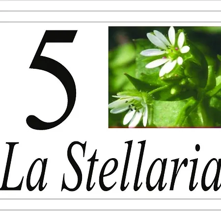 I Fiori Del Pollino - Affittacamere 4*