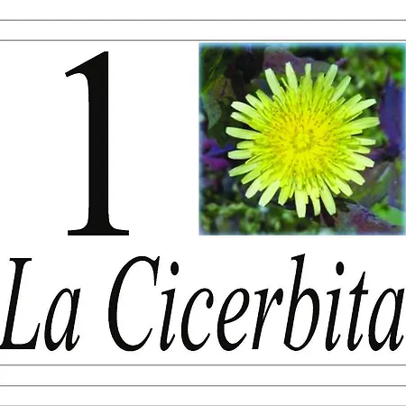 I Fiori Del Pollino - 4* San Severino Lucano