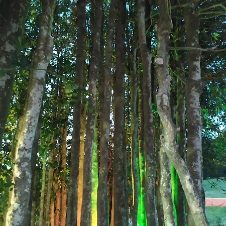 Affittacamere I Fiori Del Pollino -